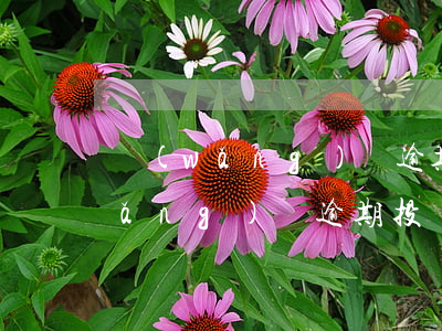 網(wǎng)貸逾期400人投訴(網(wǎng)貸逾期投訴平臺)