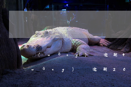 網(wǎng)貸逾期40天多久消除(網(wǎng)貸逾期200天什么后果)