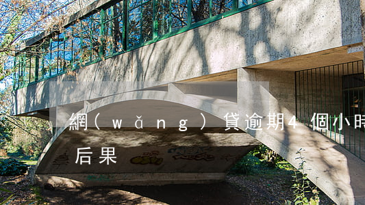 網(wǎng)貸逾期4個小時(shí)后果