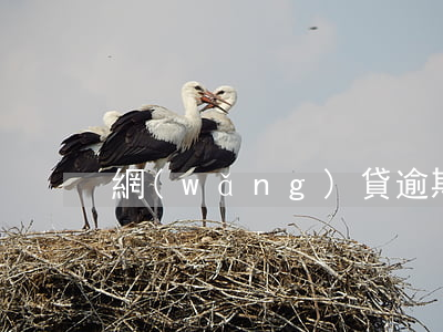 網(wǎng)貸逾期4個月算逃廢嗎