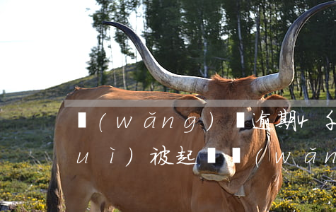 網(wǎng)貸逾期4千多塊多久會(huì)被起訴（網(wǎng)貸逾期4天會(huì)被起訴嗎）