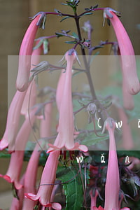 網(wǎng)貸逾期4天多了55元(網(wǎng)貸逾期5萬多不還怎樣)
