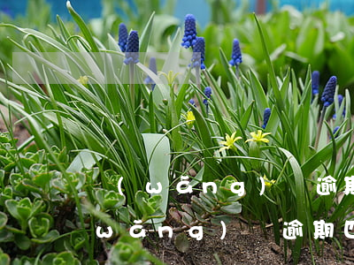 網(wǎng)貸逾期4年還上征信嗎(網(wǎng)貸逾期四年后還會(huì)起訴嗎)