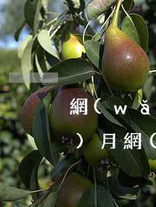 網(wǎng)貸逾期4次不超一個(gè)月(網(wǎng)貸逾期一兩次嚴(yán)重嗎)