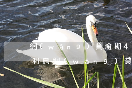 網(wǎng)貸逾期4萬(wàn)2年利息(網(wǎng)貸逾期4天算嚴(yán)重嗎)