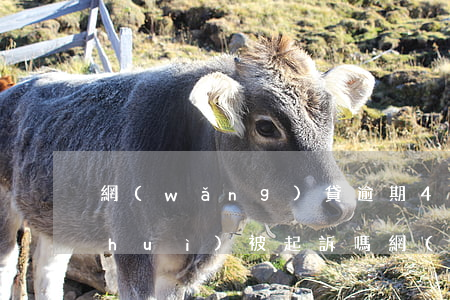網(wǎng)貸逾期4萬(wàn)會(huì)被起訴嗎(網(wǎng)貸逾期4千多塊多久會(huì)被起訴)