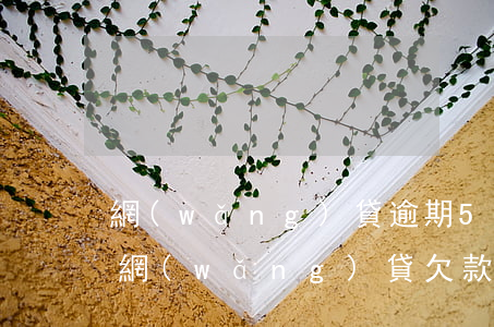 網(wǎng)貸逾期500多天被起訴了(網(wǎng)貸欠款5萬逾期多久會被起訴)