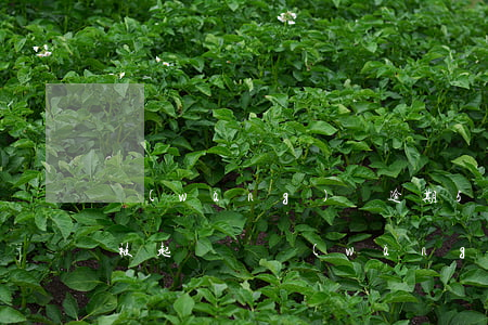 網(wǎng)貸逾期500會(huì)被起訴嗎（網(wǎng)貸500塊錢(qián)逾期會(huì)起訴嗎）