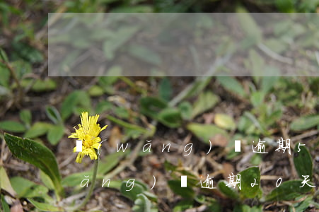 網(wǎng)貸逾期50天的案例(網(wǎng)貸逾期20天嚴重嗎)