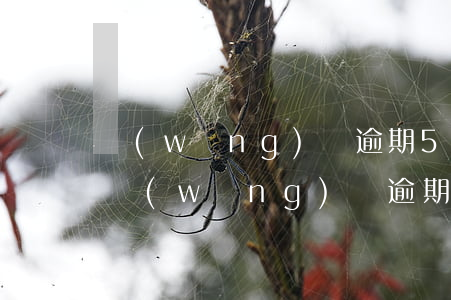 網(wǎng)貸逾期50萬的心酸(30萬網(wǎng)貸逾期最壞結(jié)果是)