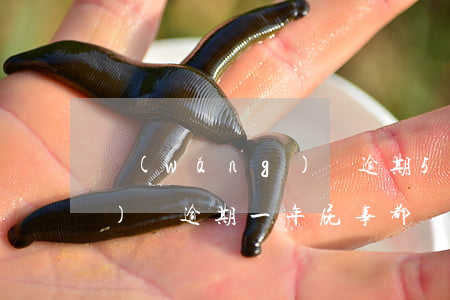 網(wǎng)貸逾期520 網(wǎng)貸逾期一年屁事都沒有了