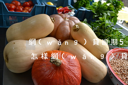 網(wǎng)貸逾期5個(gè)月后果怎樣(網(wǎng)貸逾期五天會(huì)怎么樣)