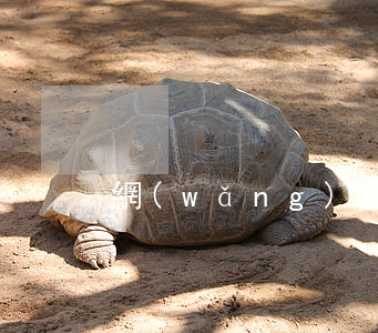 網(wǎng)貸逾期5年要不要還