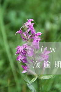 網(wǎng)貸逾期5次可以房貸嗎(有5次逾期能做房貸嗎)