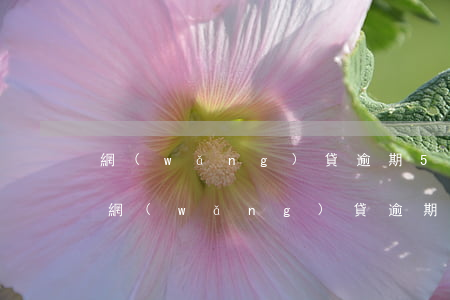 網(wǎng)貸逾期5次影響買房買車嗎(網(wǎng)貸逾期幾次影響買房)