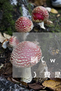 網(wǎng)貸逾期600元勞務(wù)費是真的嗎