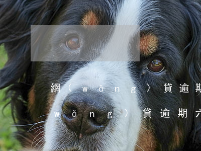 網(wǎng)貸逾期60一天合理嗎(網(wǎng)貸逾期六千左右嚴(yán)重嗎)