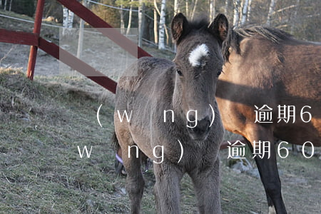 網(wǎng)貸逾期60天上征信了(網(wǎng)貸逾期60天會有什么后果)