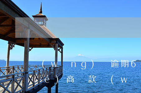 網(wǎng)貸逾期60天后怎么協(xié)商還款(網(wǎng)貸逾期一年怎么協(xié)商)