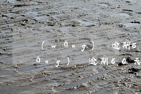 網(wǎng)貸逾期60天怎么還 網(wǎng)貸逾期60天怎么還錢(qián)