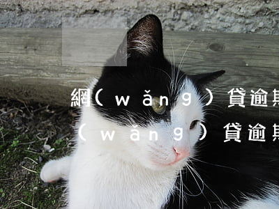 網(wǎng)貸逾期65天還能還款嗎(網(wǎng)貸逾期過幾天還可以嗎)