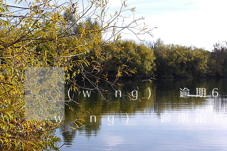 網(wǎng)貸逾期6個月對信用卡(網(wǎng)貸逾期跟信用卡逾期哪個嚴(yán)重)