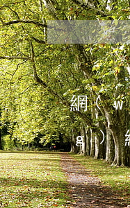 網(wǎng)貸逾期6天提起網(wǎng)絡仲裁嗎(網(wǎng)貸逾期6天提起網(wǎng)絡仲裁嗎)