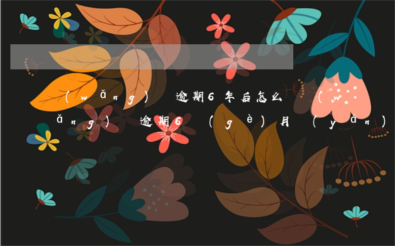 網(wǎng)貸逾期6年后怎么樣(網(wǎng)貸逾期6個(gè)月嚴(yán)重嗎)