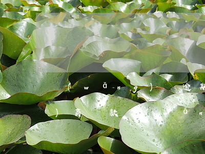 網(wǎng)貸逾期6年怎么協(xié)商還款(網(wǎng)貸逾期6年怎么協(xié)商還款)