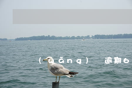 網(wǎng)貸逾期6月了怎么處理