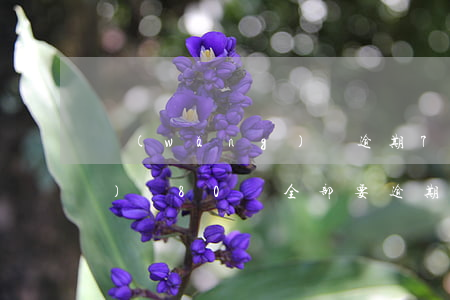 網(wǎng)貸逾期70天（網(wǎng)貸80萬全部要逾期了）