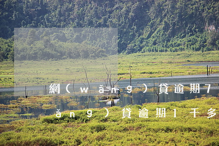網(wǎng)貸逾期70天被起訴(網(wǎng)貸逾期1千多會被起訴嗎)