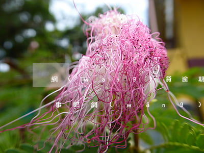 網(wǎng)貸逾期7天內(nèi)沒事吧(網(wǎng)貸逾期7個(gè)月以上怎么處理)