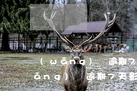 網(wǎng)貸逾期7天影響大不(網(wǎng)貸逾期7天影響大不)