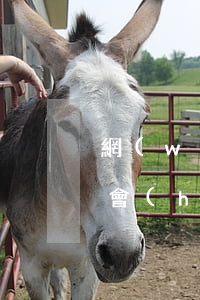 網(wǎng)貸逾期7天會(huì)不會(huì)有事(網(wǎng)貸逾期6天算嚴(yán)重嗎)