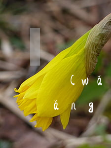 網(wǎng)貸逾期7天會怎么樣(網(wǎng)貸逾期八天有什么后果)