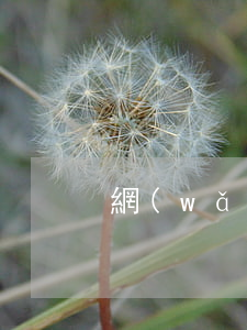 網(wǎng)貸逾期7次還能買房嗎