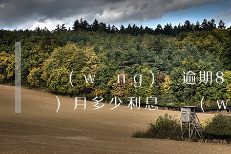網(wǎng)貸逾期8000一個(gè)月多少利息-網(wǎng)貸7000逾期800多天