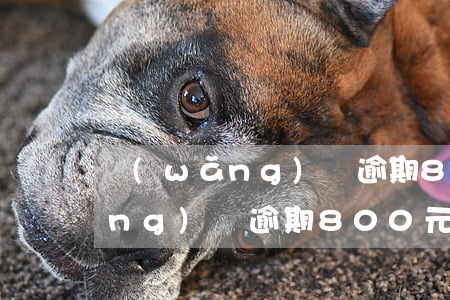網(wǎng)貸逾期800元后(網(wǎng)貸逾期800元后怎么處理)