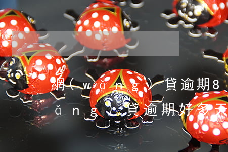 網(wǎng)貸逾期800多天了(網(wǎng)貸逾期好多天了怎么辦)