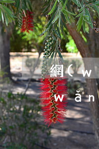 網(wǎng)貸逾期850天會怎樣(網(wǎng)貸可以逾期多少天)