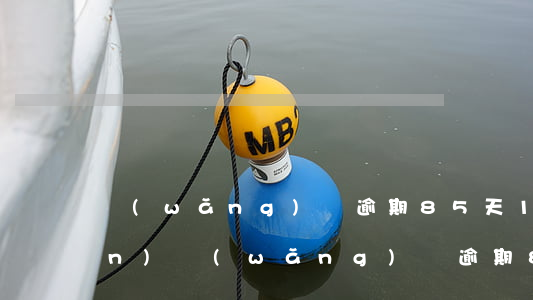 網(wǎng)貸逾期85天14萬(wàn)(網(wǎng)貸逾期85天14萬(wàn))