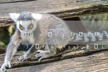 網(wǎng)貸逾期8千塊錢(qián)嚴(yán)重(網(wǎng)貸七八萬(wàn)逾期沒(méi)錢(qián)還怎么辦)