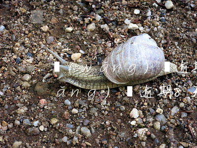 網(wǎng)貸逾期8天上征信嗎(網(wǎng)貸逾期8天會(huì)上征信嗎)