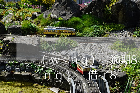 網(wǎng)貸逾期8萬元怎么辦(網(wǎng)貸借了8萬無法還怎么辦)