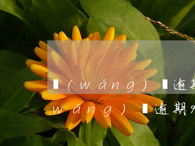 網(wǎng)貸逾期90天上征信了(網(wǎng)貸逾期90天上征信了,還可以分期買車嗎?)