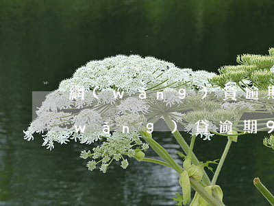 網(wǎng)貸逾期90天短信模板(網(wǎng)貸逾期90天嚴(yán)重嗎)