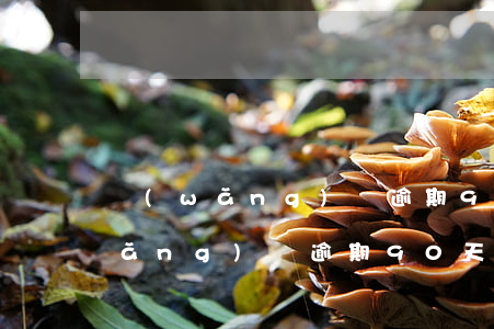 網(wǎng)貸逾期96天犯法嗎(網(wǎng)貸逾期90天是不是黑了)