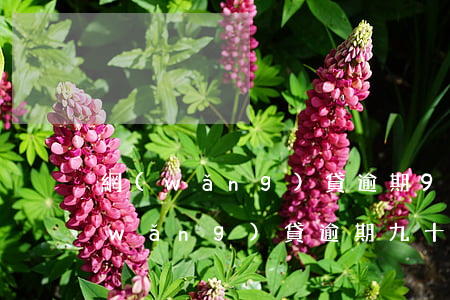 網(wǎng)貸逾期9個月會上門嗎(網(wǎng)貸逾期九十天以上會怎么樣)