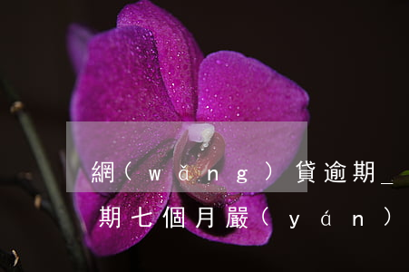 網(wǎng)貸逾期_7貸能過嗎(貸款逾期七個月嚴(yán)重嗎)